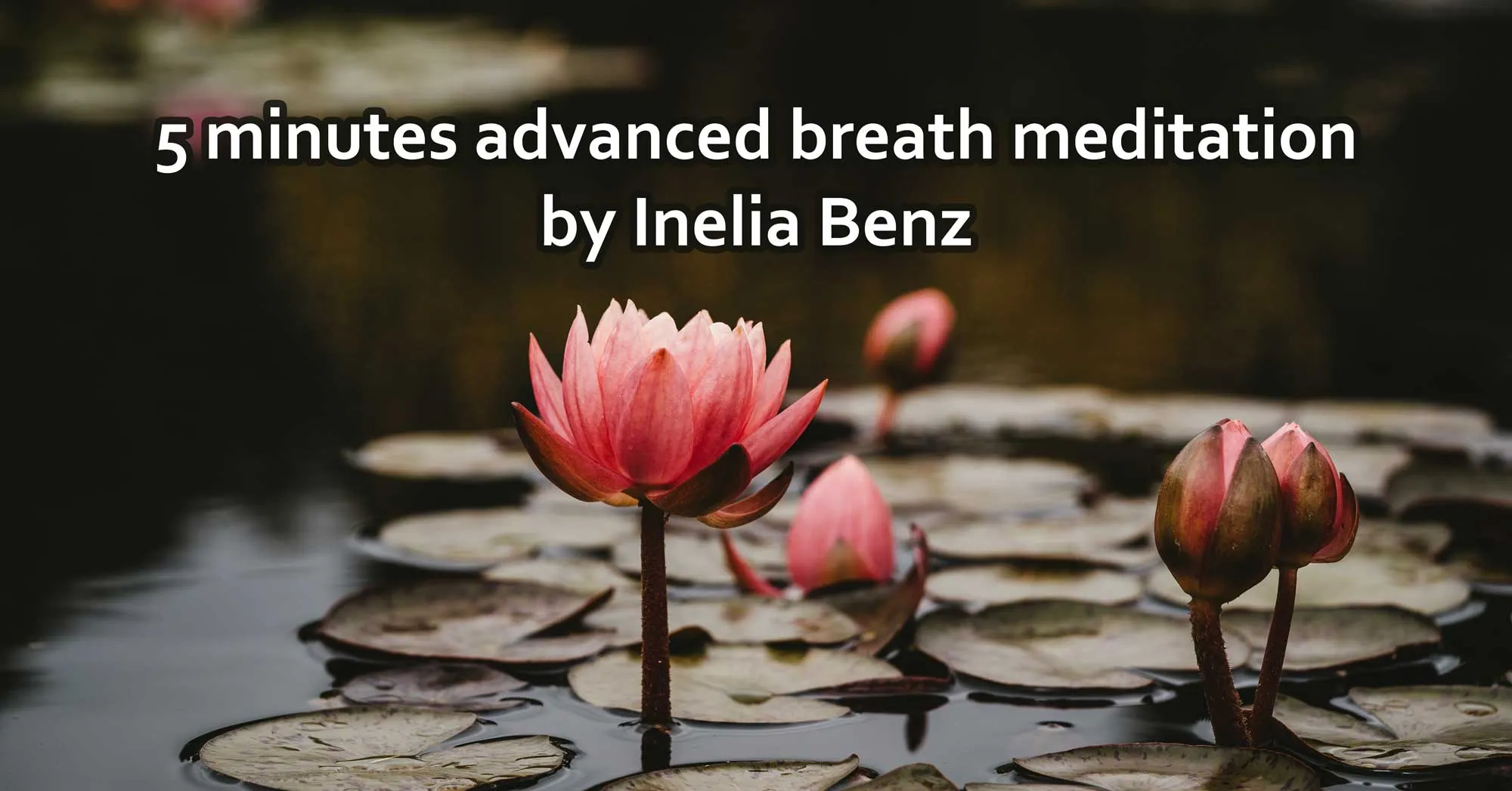 5 Minutes Advanced Breath Meditation