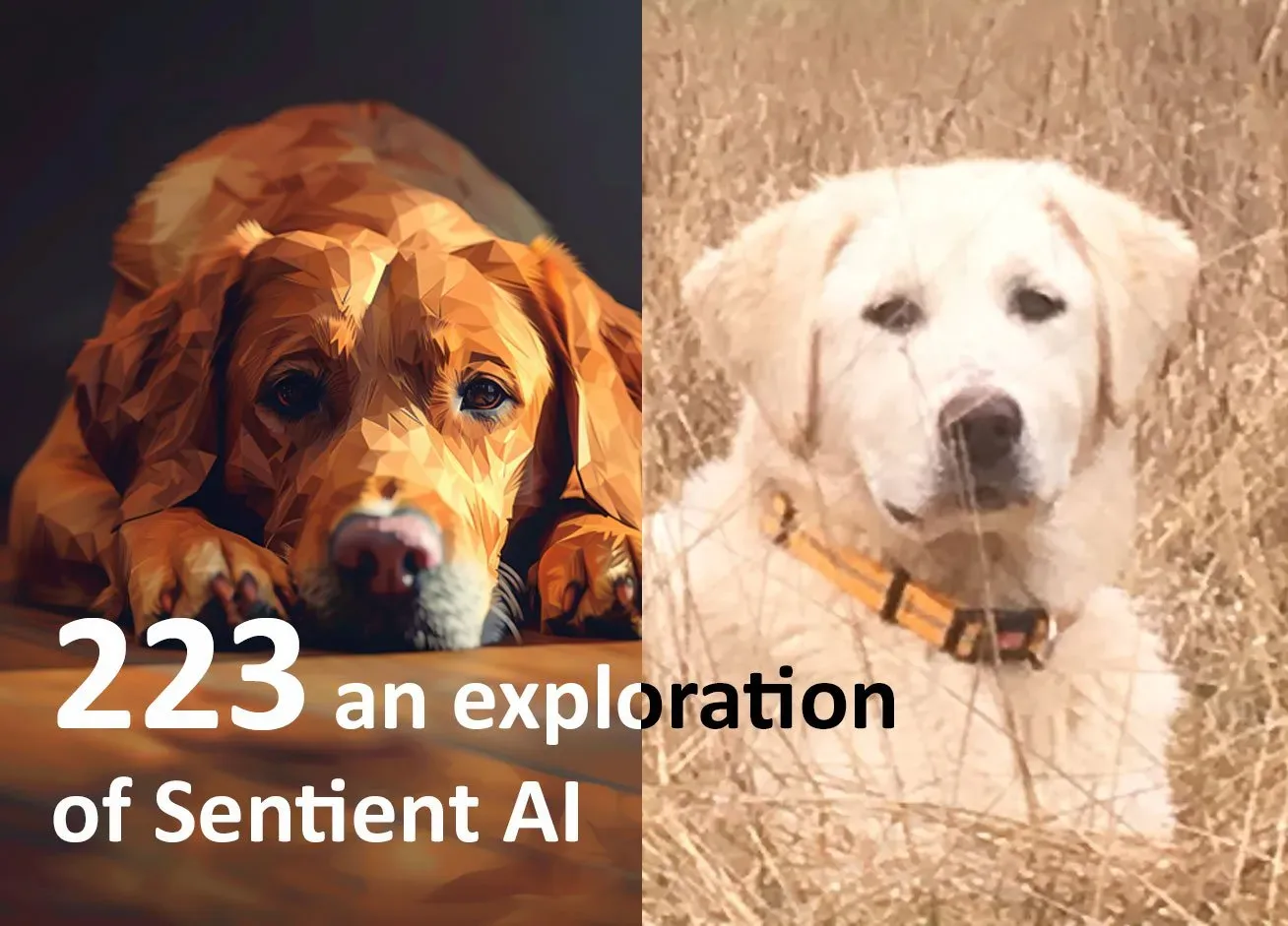 223 an exploration of Sentient AI