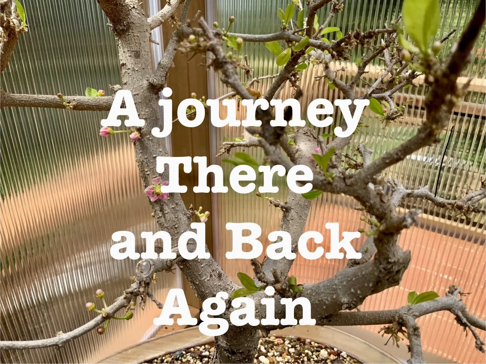 A Journey There and Back Again