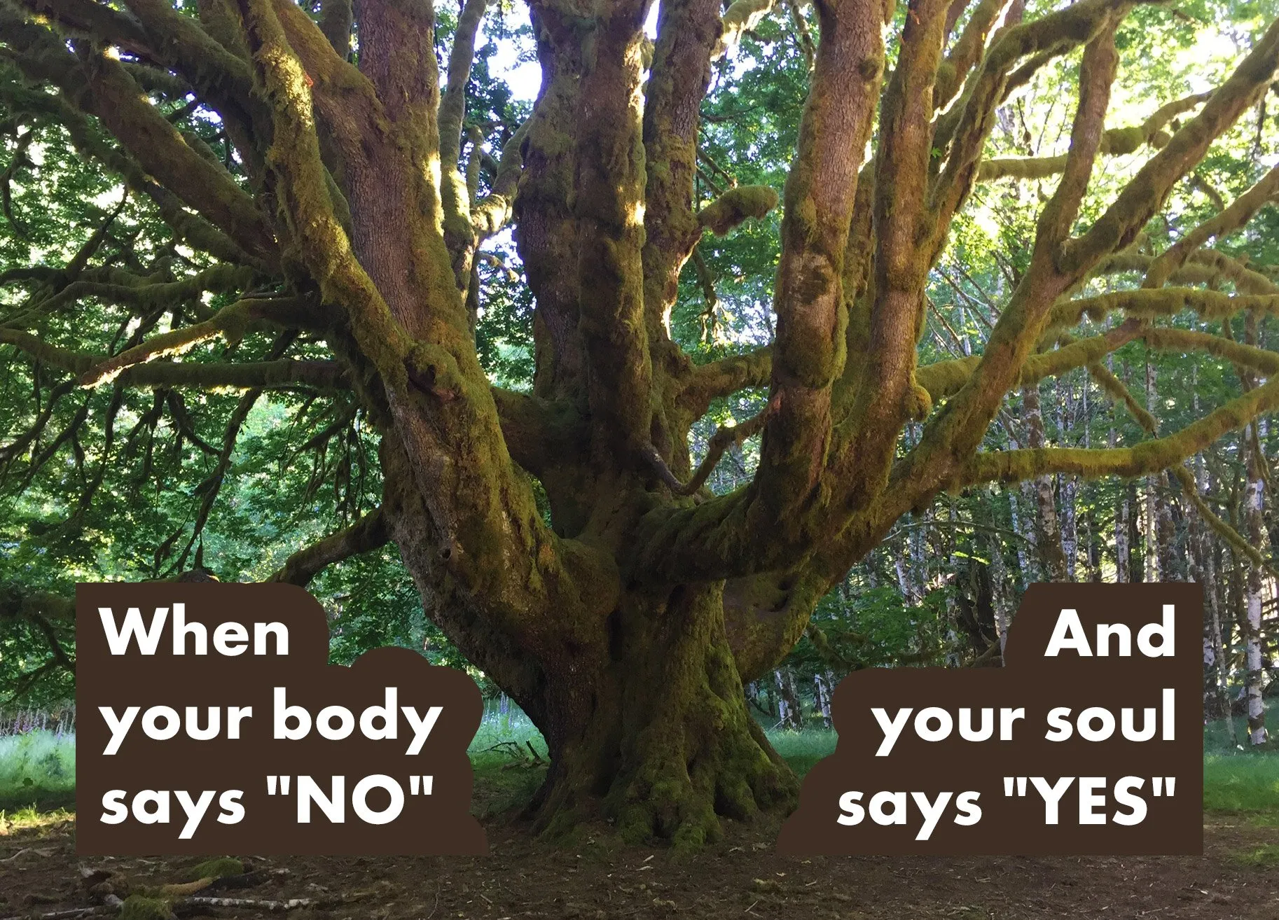 When your body says "NO" and your soul says "YES". - Driving to the Rez - Episode 192 - Part One