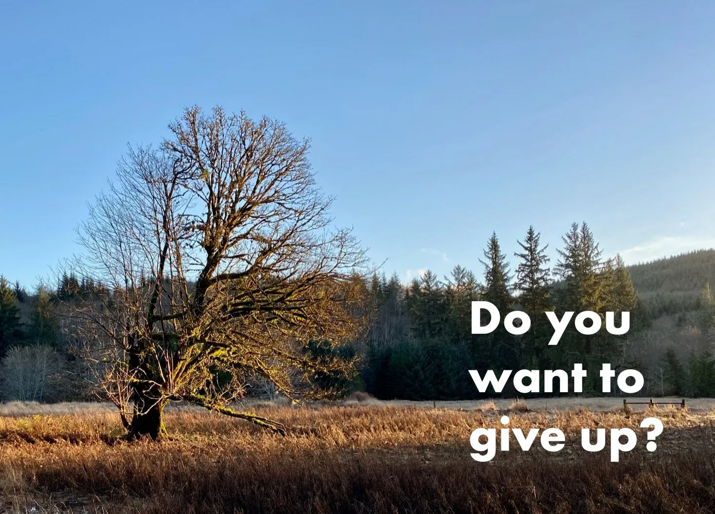 Do you want to give up - Driving to the Rez - Episode 184 - Part One
