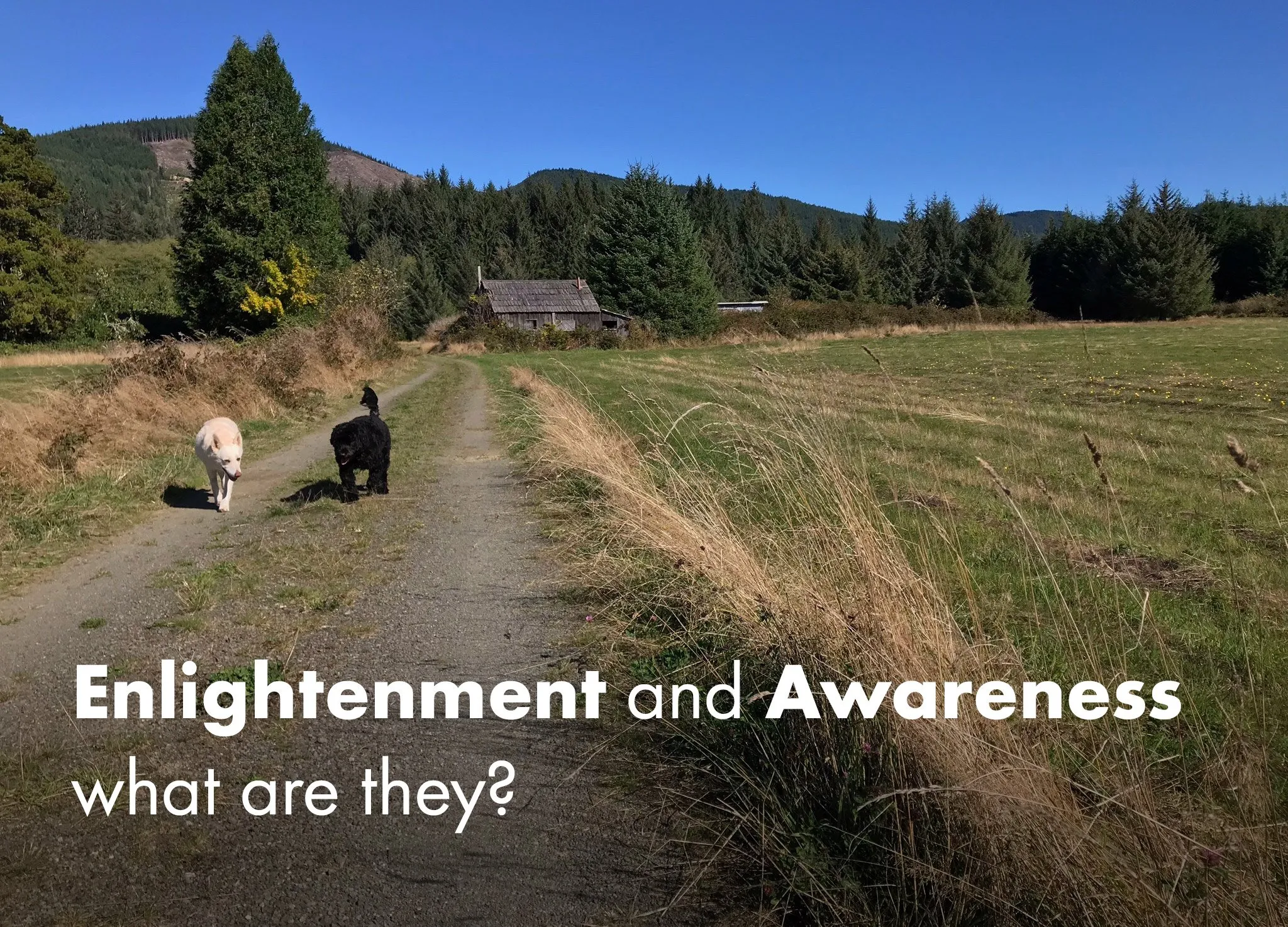 Enlightenment and Awareness - what are they? - Inelia Benz