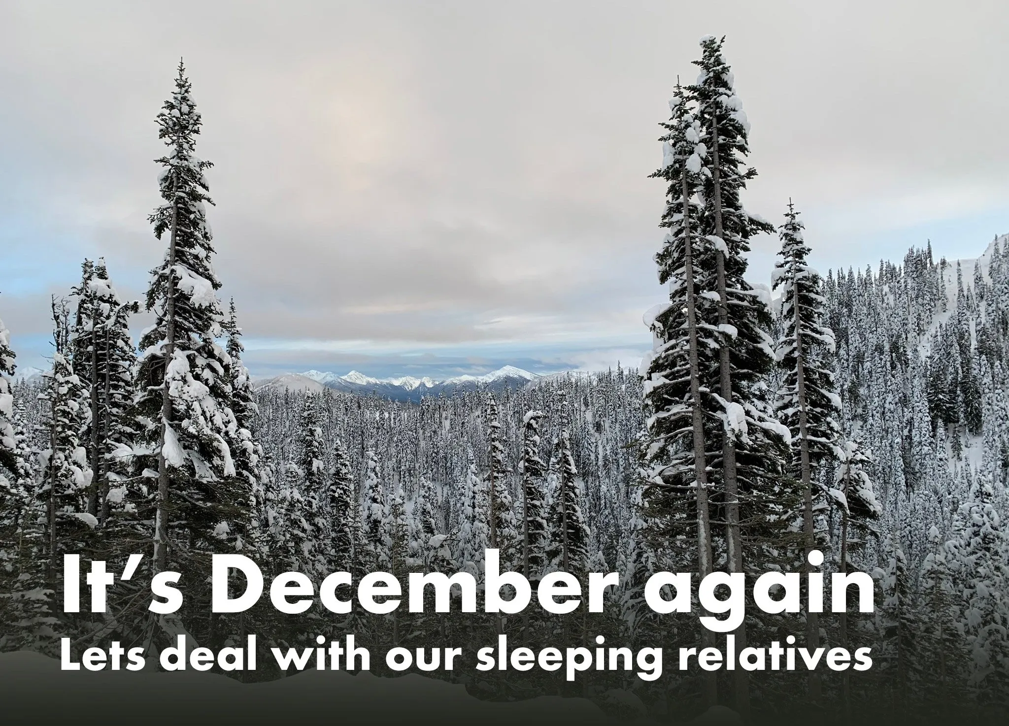 It’s December again, lets deal with our sleeping relatives.