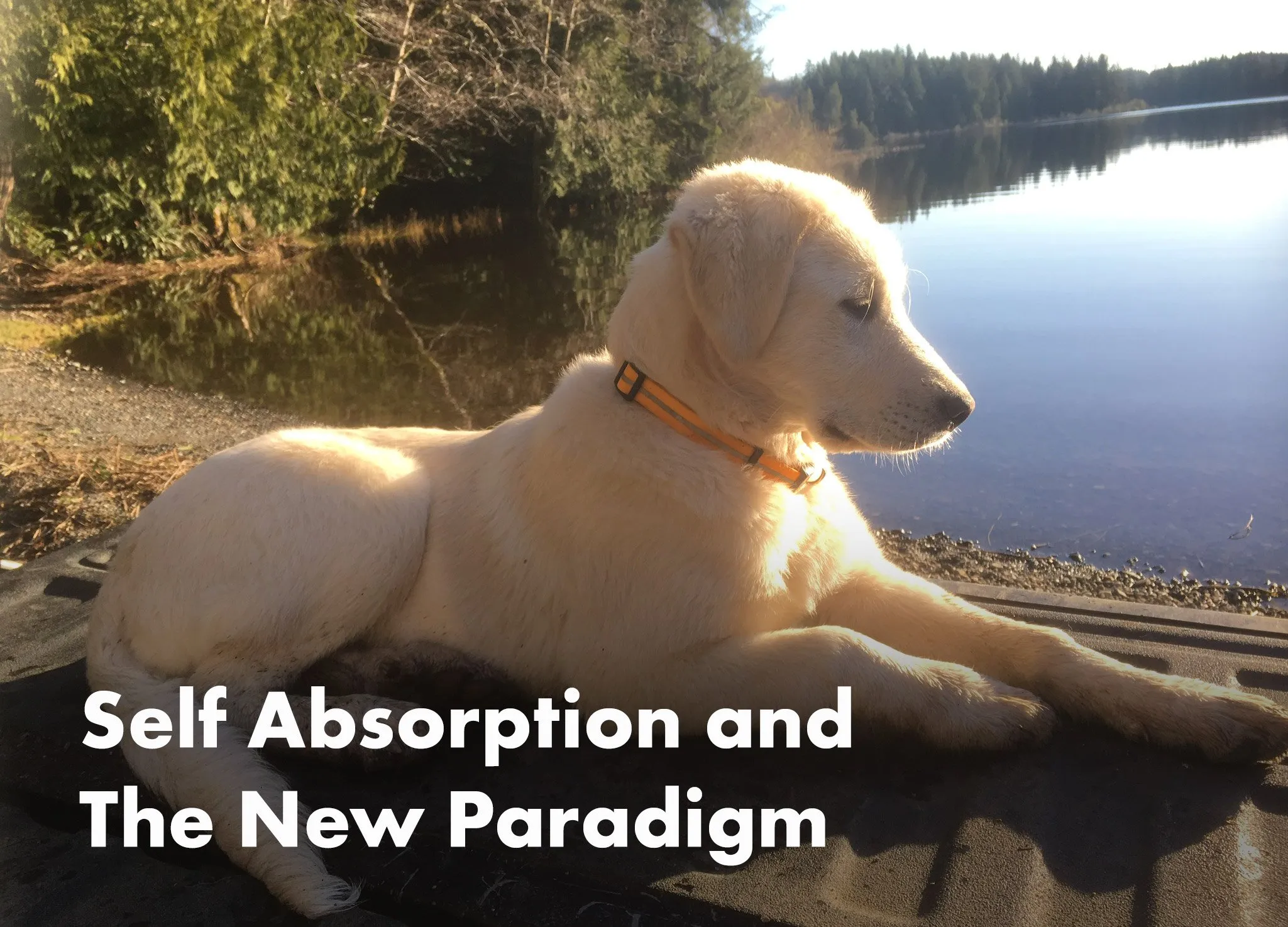 Self Absorption and The New Paradigm- Inelia Benz