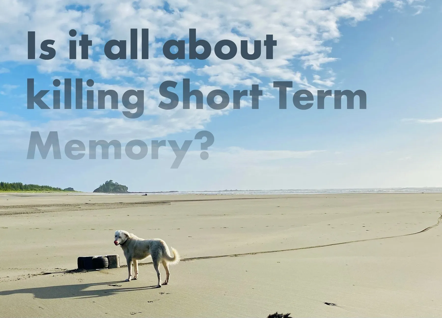 It's all about killing short term memory?