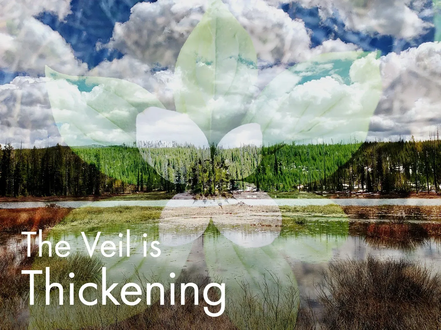 The Veil is Thickening - Inelia Benz