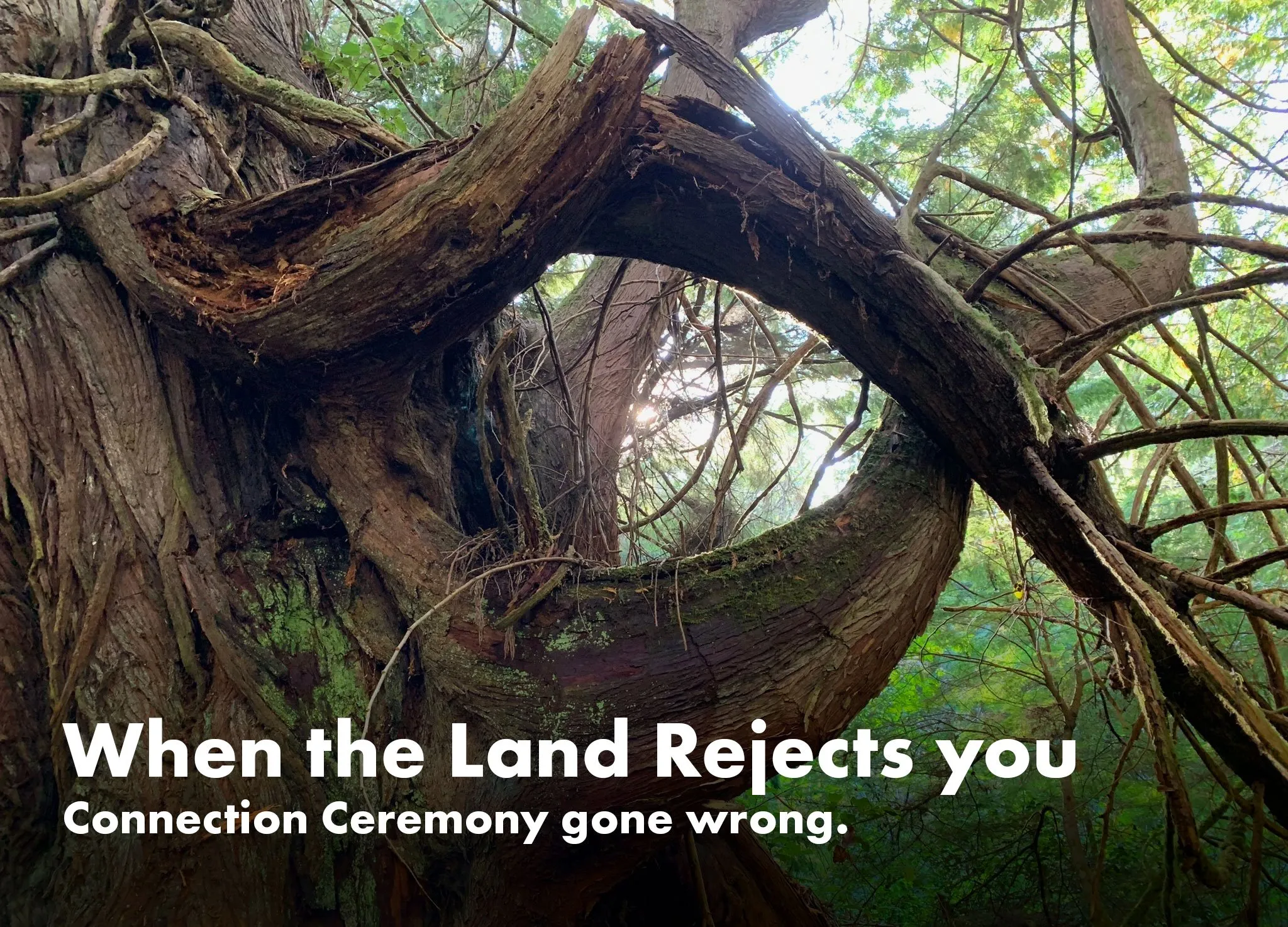 When the Land Rejects you
