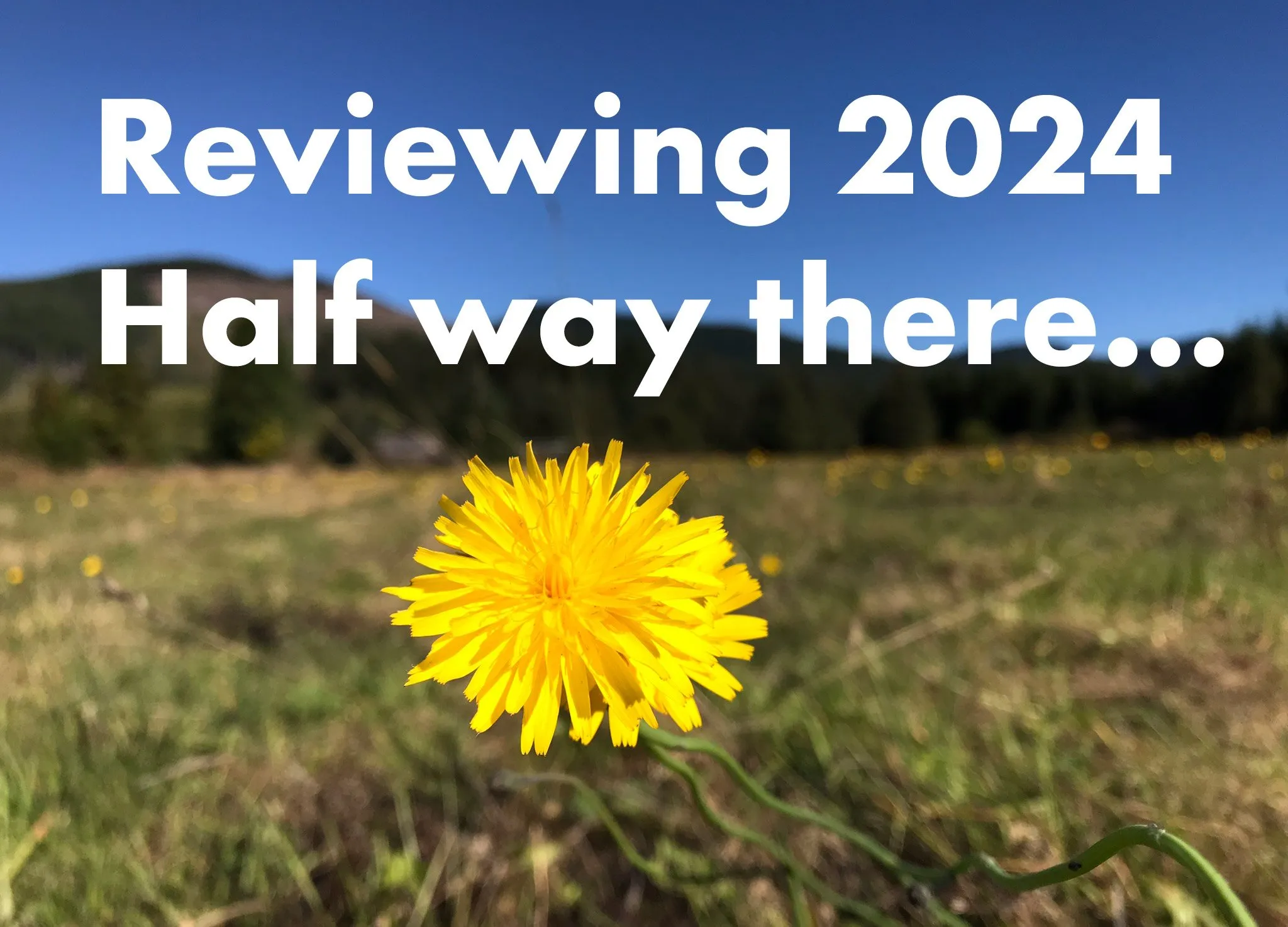 Reviewing 2024 - Half way there...