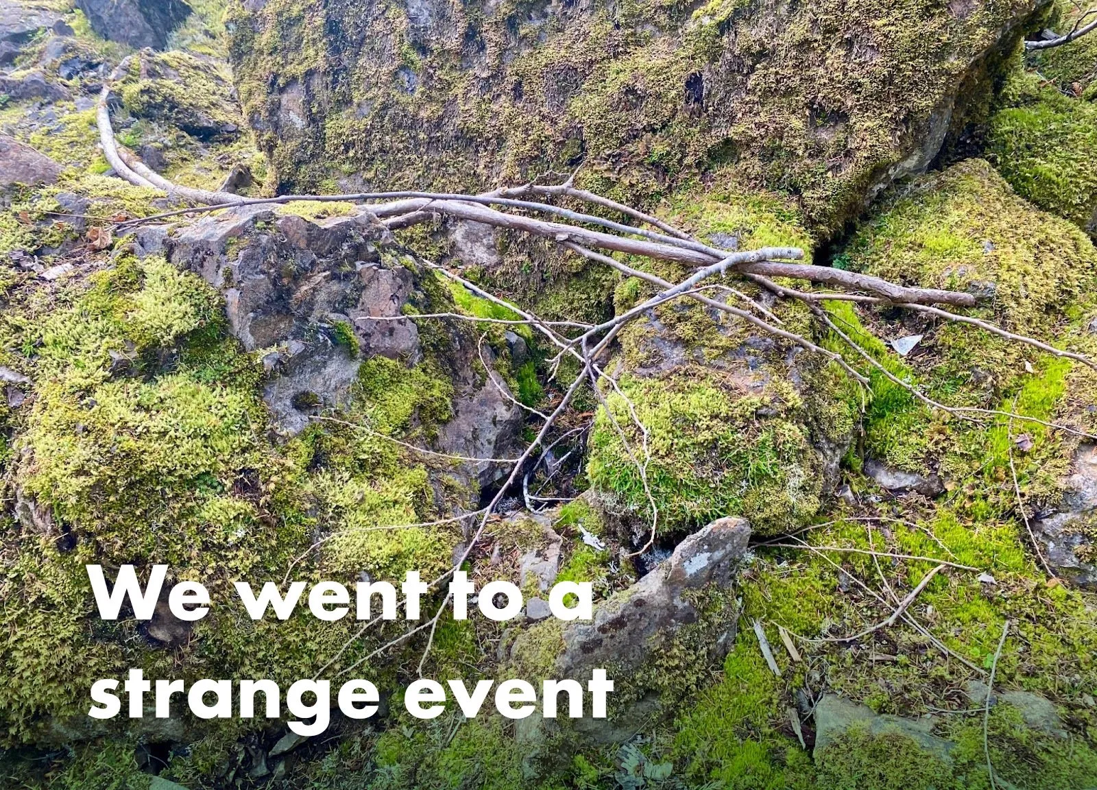 we went to a strange envent - inelia benz